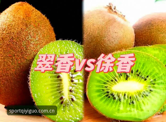 奇异果体育登录完整指南：哪个渠道最稳定可靠？